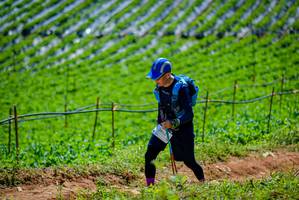 BIB: 
                            <button type="button" onclick="openModal(19164730)" class="btn btn-primary btn-sm float-right btn-popup" data-toggle="modal" data-target=".modal-high-quality">
                        <i class="fas fa-shopping-cart"></i> Add to Cart
                    </button>
                                            <button type="button" onclick="isThisMe(19164730, true)" class="btn btn-success btn-sm float-right btn-popup btn-isme hidden" data-toggle="tooltip" data-placement="bottom" title="นี่คือรูปของคุณใช่ไหม คลิกที่นี่เพื่อเอาเข้าอัลบั้ม">
                        <i class="fas fa-plus"></i> Add to album
                    </button>
                    <button type="button" onclick="isThisMe(19164730, false)" class="btn btn-warning btn-sm float-right btn-popup btn-isnotme hidden">
                        <i class="fas fa-ban"></i> Remove from album
                    </button>